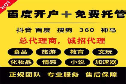 SEM服务公司助力电商增长案例